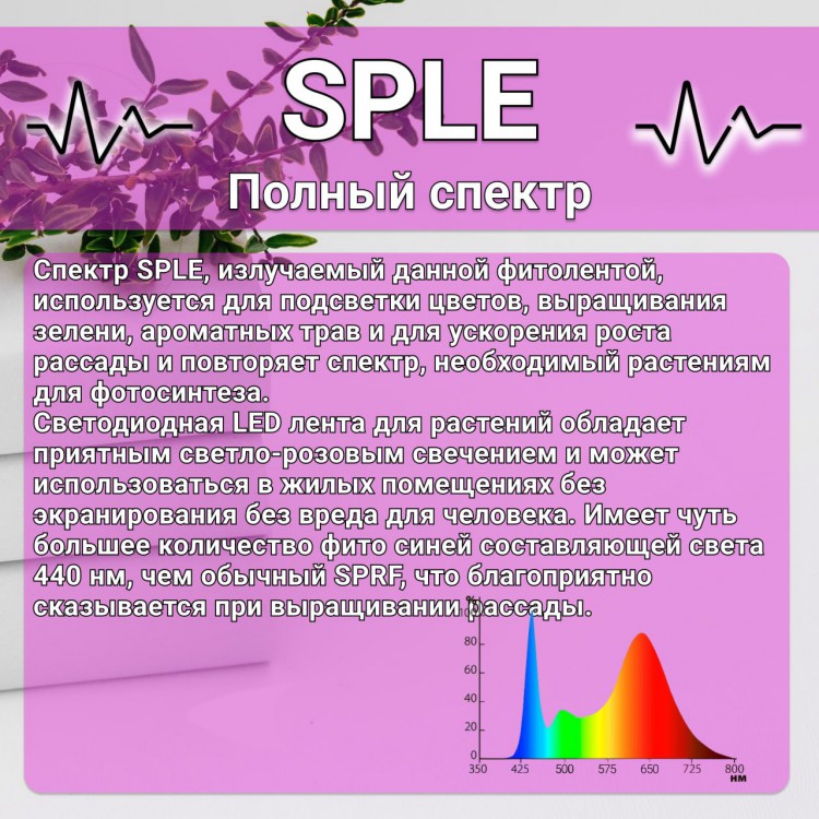 Светодиодная фитолента фито лента для растений и рассады SPLE светло розовое свечение полный спектр 0,5м 