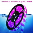 Светодиодная фитолента лента для растений и рассады SPLE светло розовое свечение полный спектр 2м 