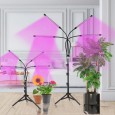 LED Фитосветильник (фитолампа) для растений и рассады 40Вт на штативе 