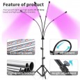 LED Фитосветильник (фитолампа) для растений и рассады 40Вт на штативе 