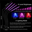 LED Фитосветильник (фитолампа) для растений и рассады 40Вт на прищепке 