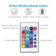 Светодиодная LED лента 5050 RGB  1 м, AA, ПДУ,IP65 