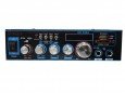 Стереоусилитель звука для колонок FM, USB, SD WR309A 